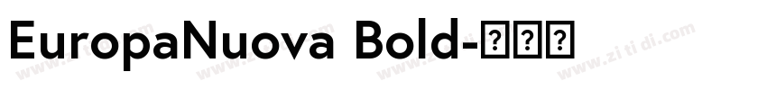 EuropaNuova Bold字体转换